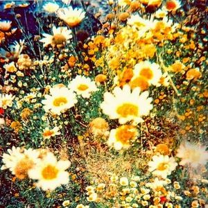 Meet your Posher, Jenika